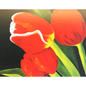 Kort med maleri av nærbilde av røde tulipaner. Bilde.