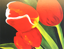 Kort med maleri av nærbilde av røde tulipaner. Bilde.