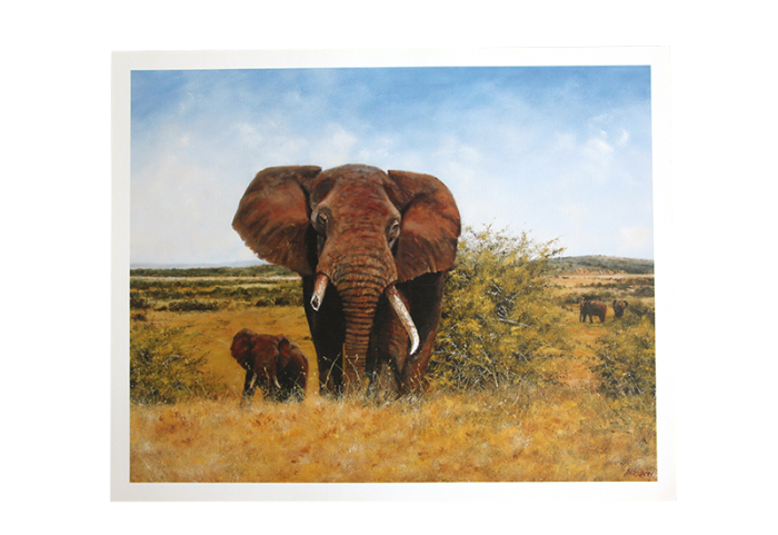Reproduksjon med motiv av en elefant med brukket støttann på savannen sammen med ungen sin. Bilde.