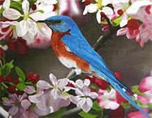 Kort med motiv av en liten fugl mellom blomster på en gren. Bilde.