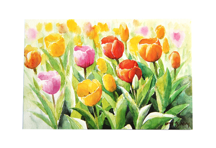 Kort med motiv av fargerike tulipaner.Bilde.
