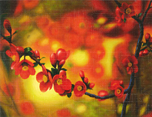 Gren med røde blomster og bær.