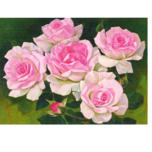 Bilde av rosa roser. Bilde.