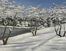 Originalmaleri av munnmaler Sigrid Slora. Vintermotiv med vann, snø og trær. Bilde.
