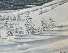 Originalmaleri av munnmaler Sigrid Slora. Vintermotiv med snødekte trær og fjell. Bilde.