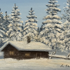 Originalmaleri av munnmaler Sigrid Slora. Vintermotiv av laftehytte i skogen med snødekte trær. Bilde.