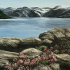 Originalmaleri av munnmaler Sigrid Slora. Naturmotiv av vann, svaberg, blomster og fjell. Bilde.