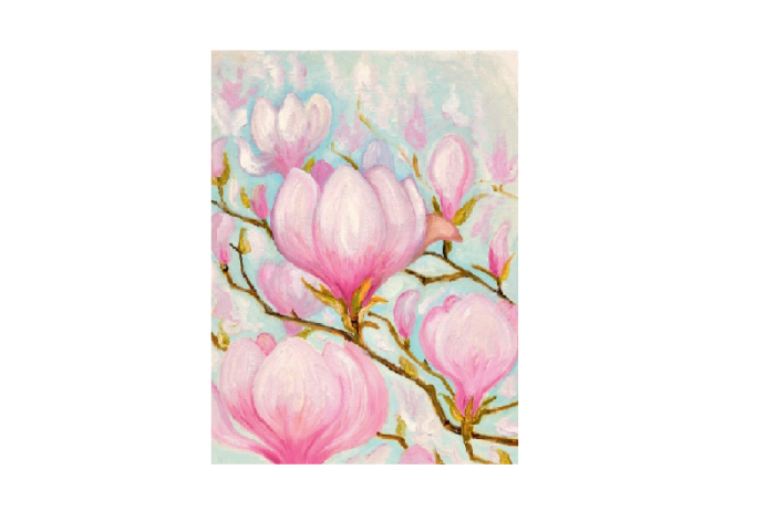 Magnolia i vårblomst. Bilde.