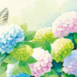 Nydelig dobbelt sommerkort med motiv av hortensia og sommerfugl. Bilde