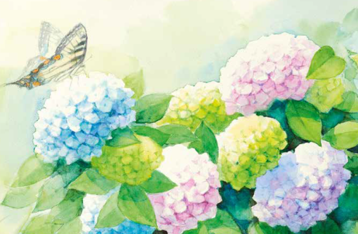 Nydelig dobbelt sommerkort med motiv av hortensia og sommerfugl. Bilde